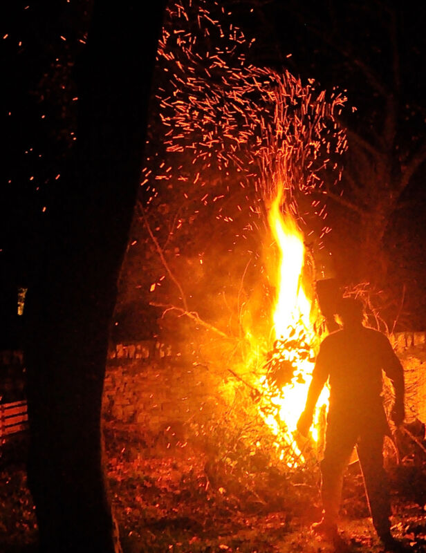 Collecting Wood for the Fire